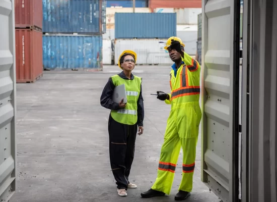 Container Dressing and Inspection